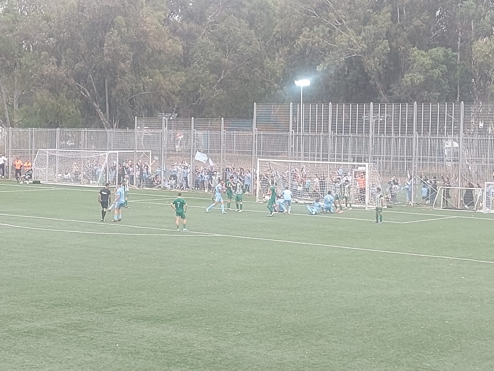 טירה כובשת (אלי שמואלי)