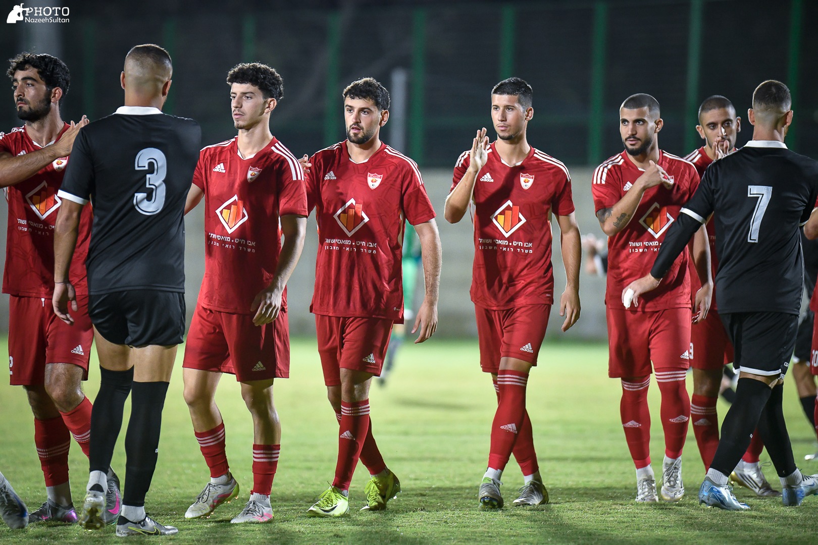 שחקני טירה (נזיה סולטאן)