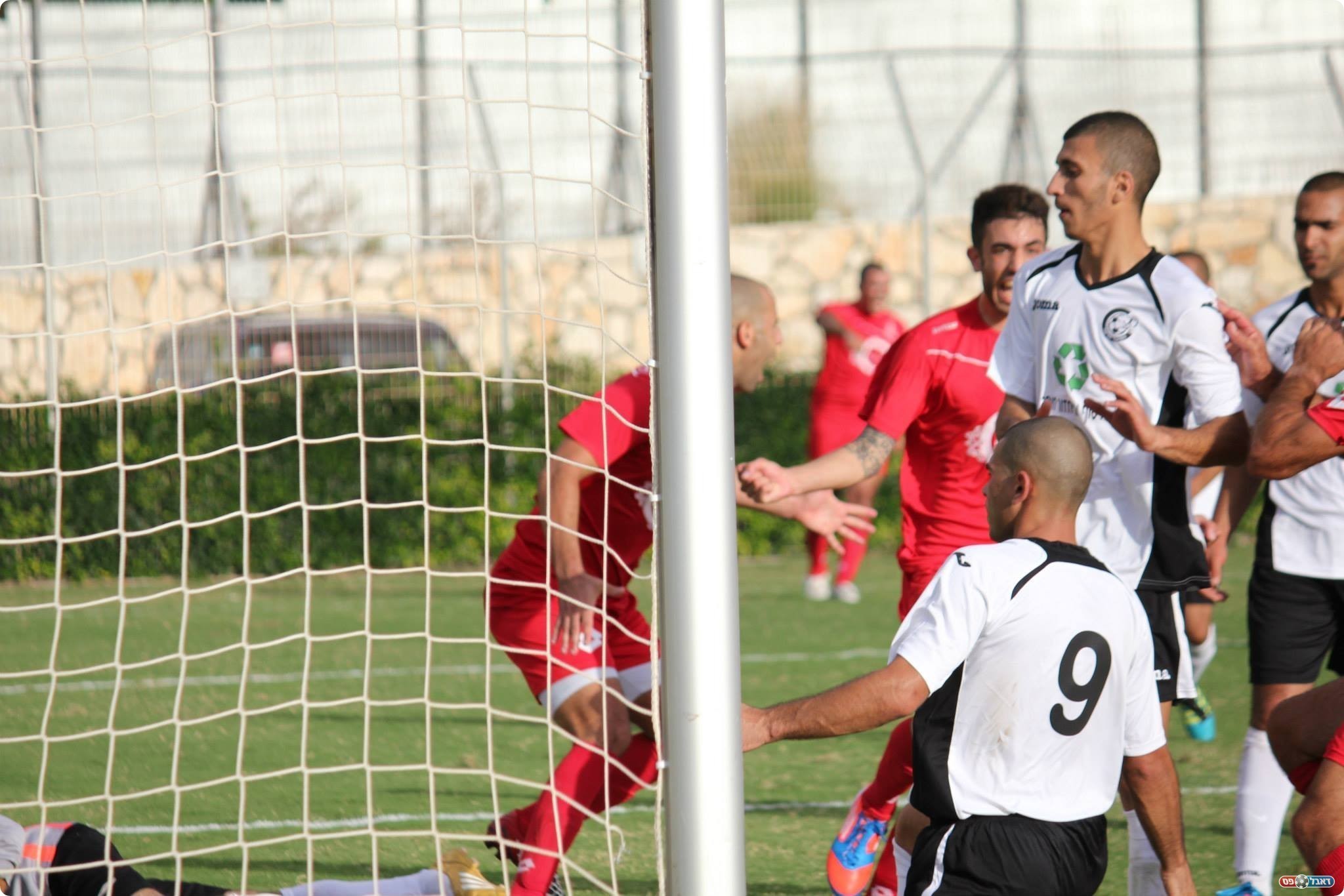 צילום: עידן אליאס