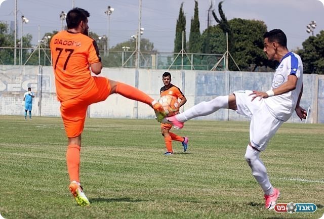 כבש צמד. מדהלה (בלבן) (לירן דורף)