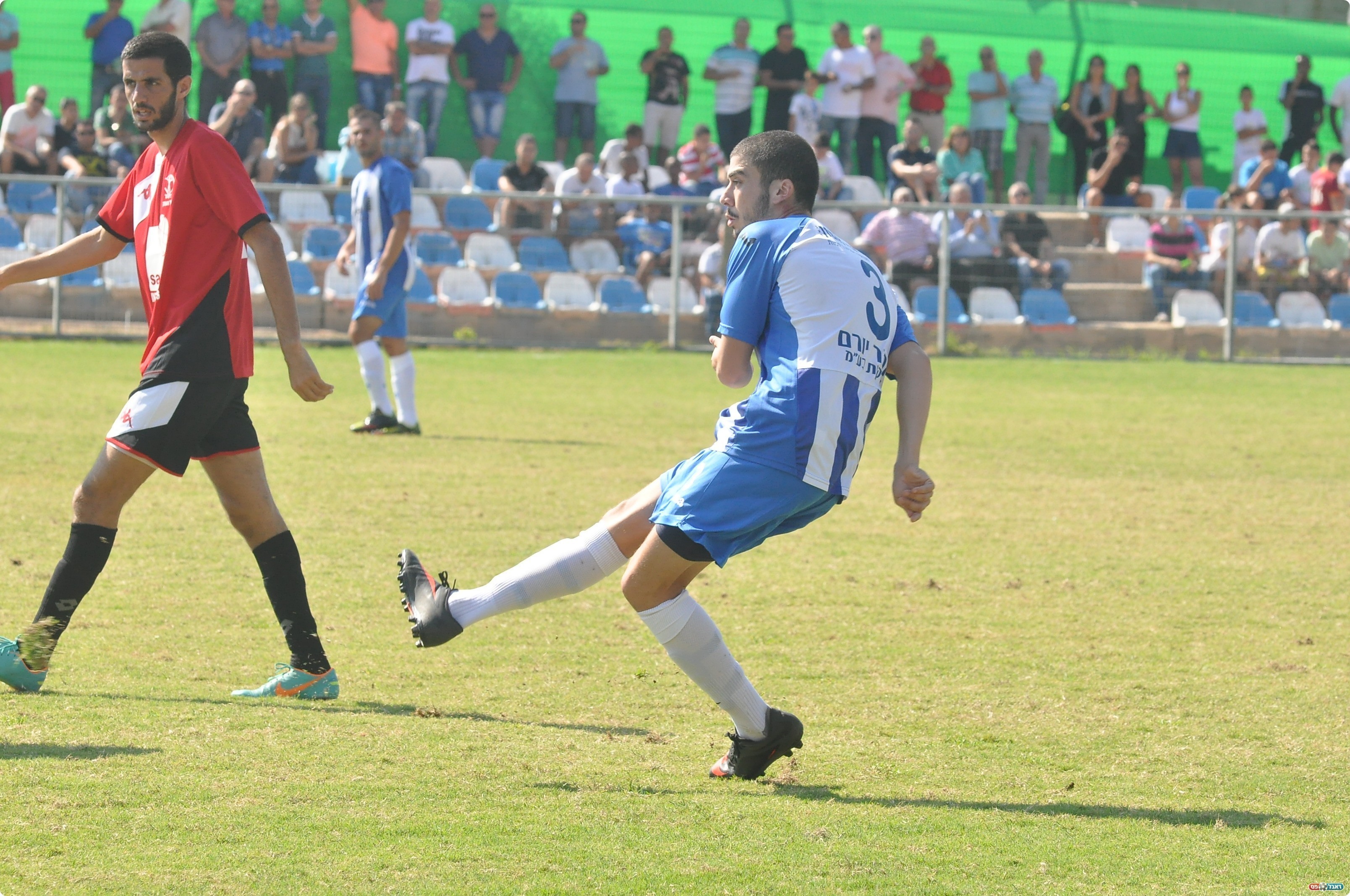 בר נימני, יחסר בשורות אולגה (צילום: קובי פורטל)