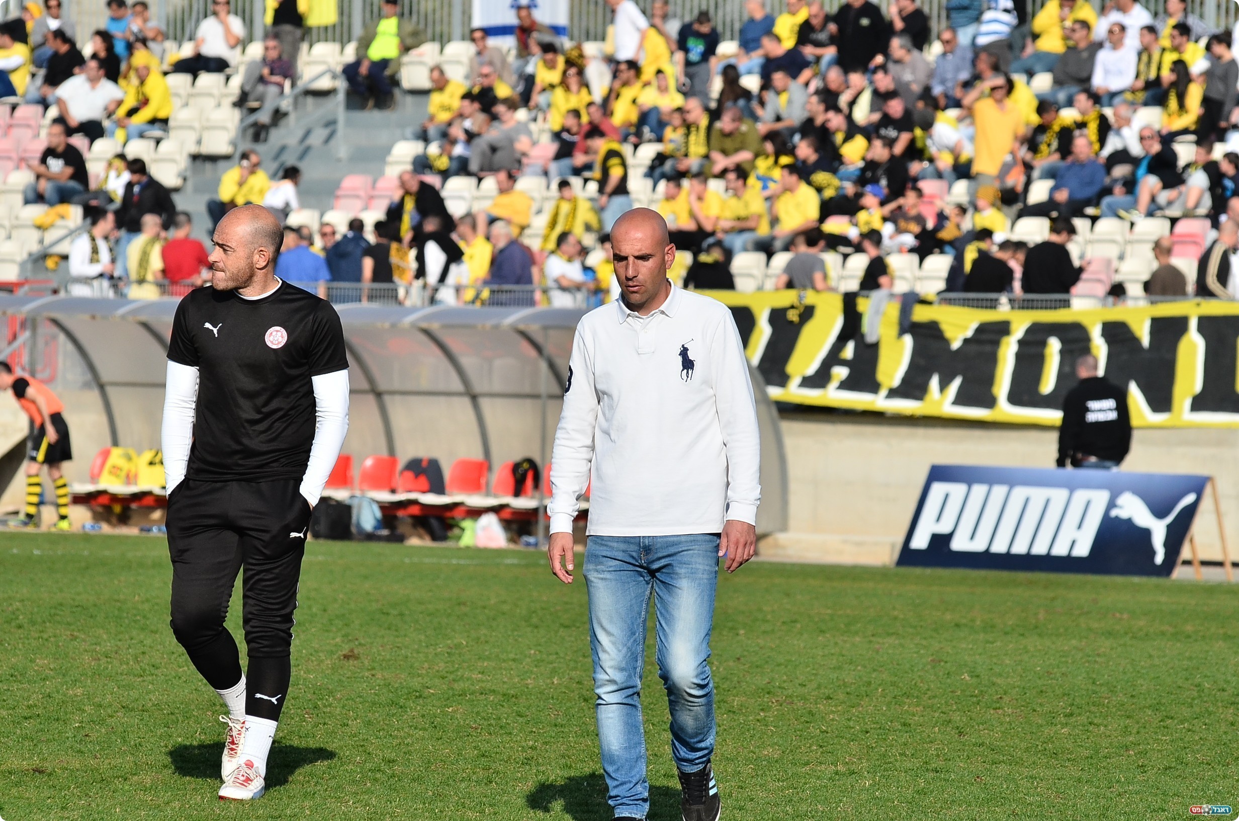 בלהטריף הוא מומחה, שביט (צילום: ארנון לוי)