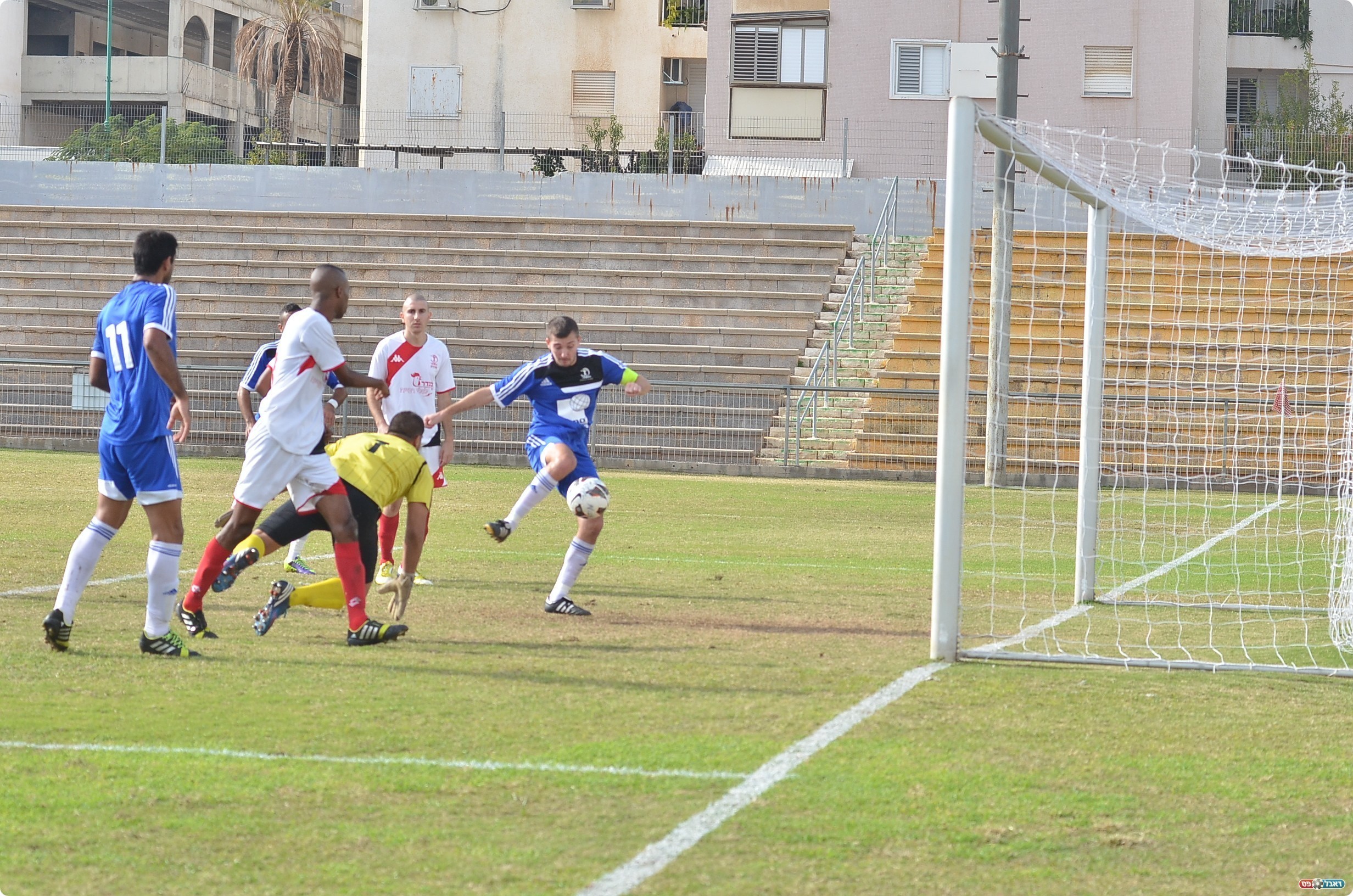 וולקובסקי כובש את השני (צילום: ארנון לוי)