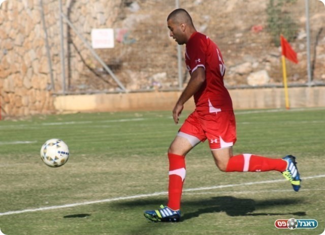 עלה מרוכז. חבשי (צילום: אחמד עזאיזה)