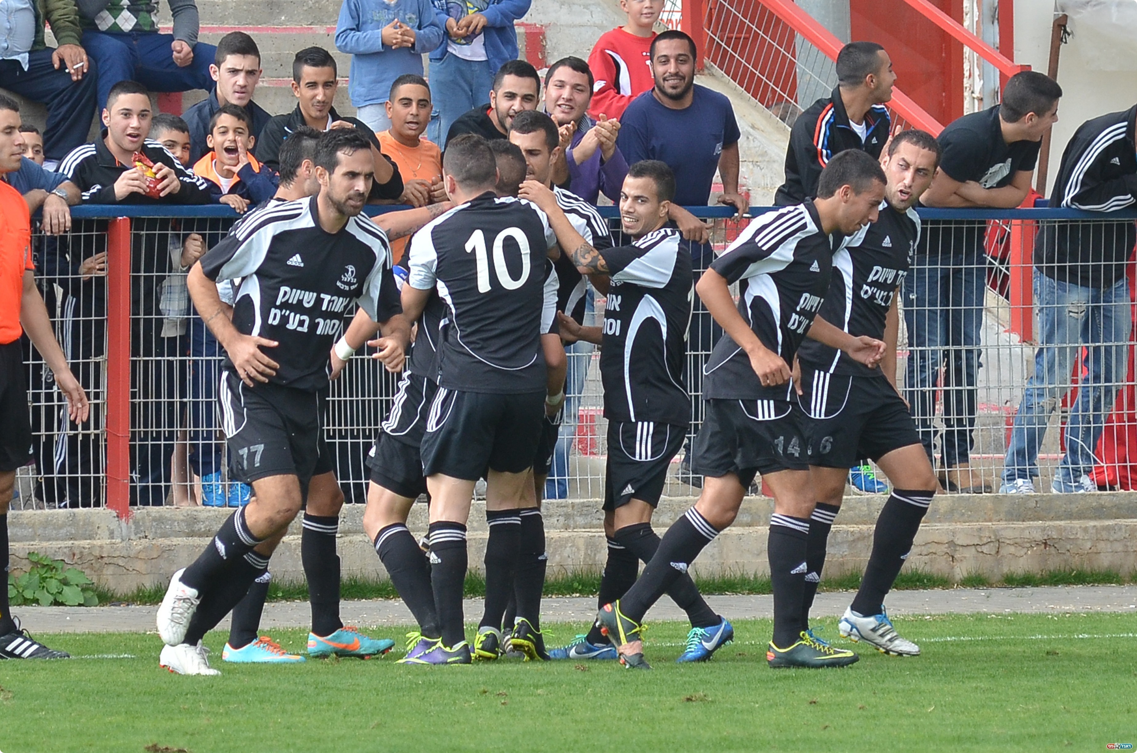 ורץ לחגוג (צילום: ארנון לוי)