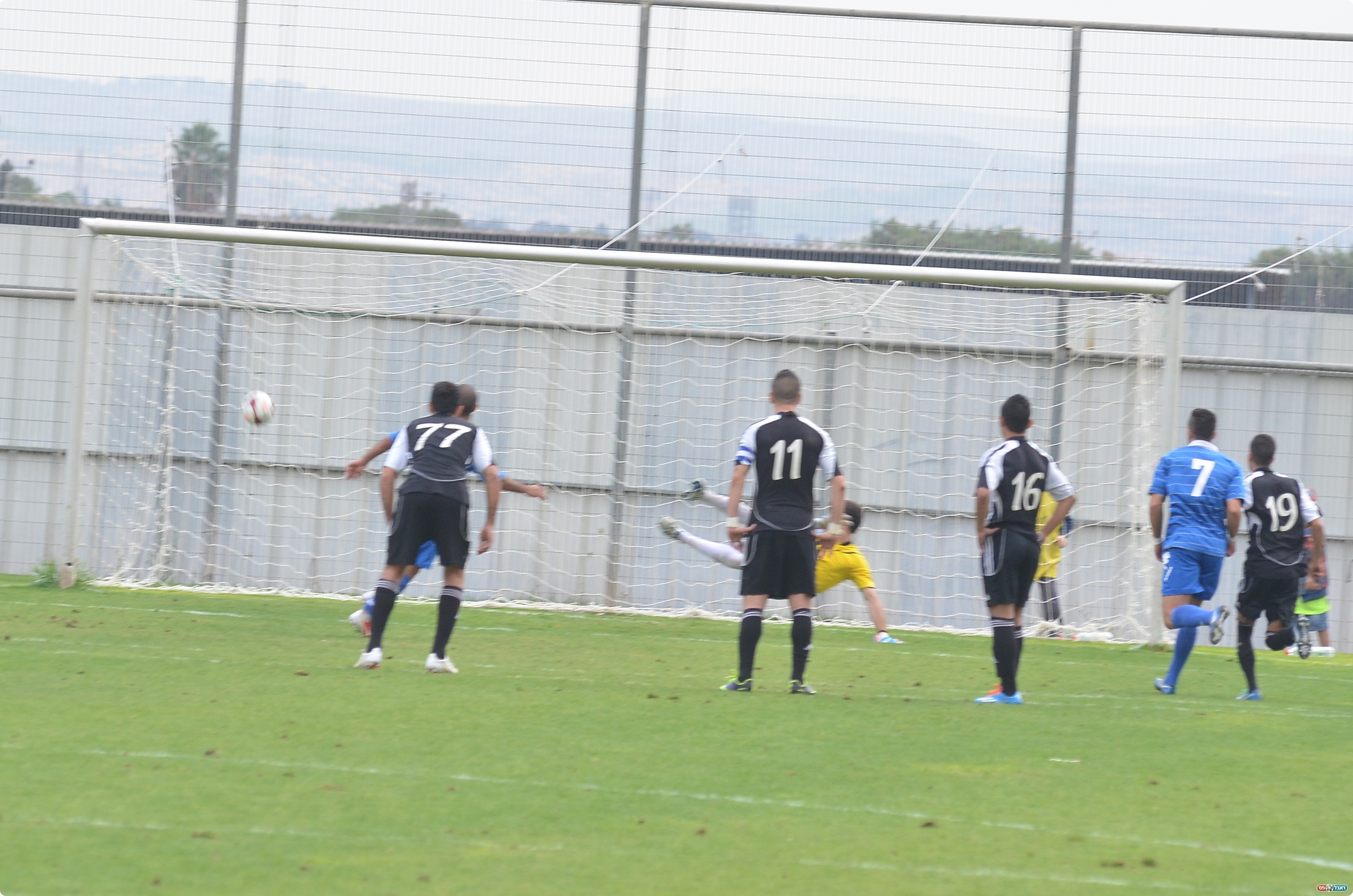 וכובש (צילום: ארנון לוי)