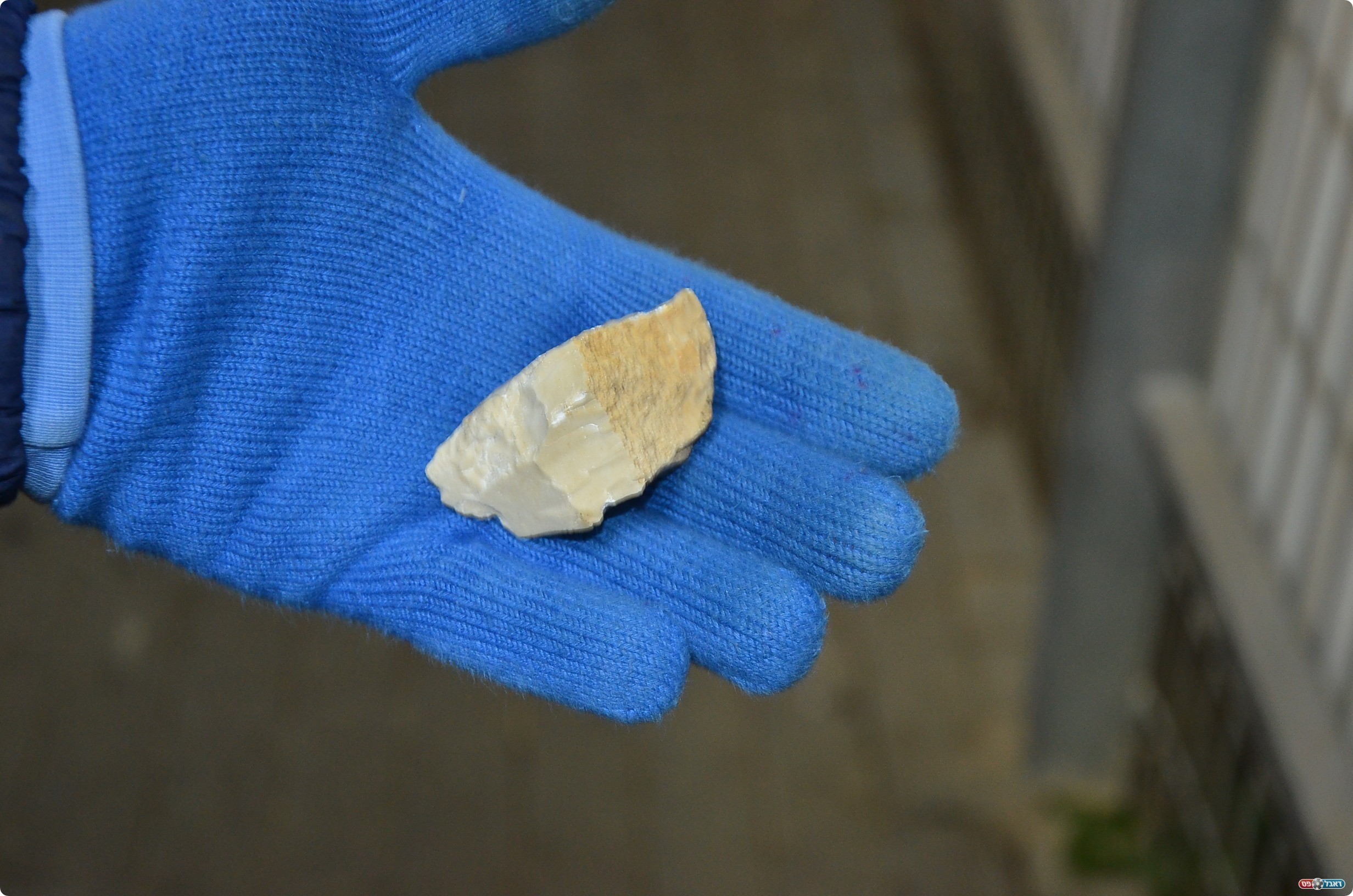 האבן שנזרקה (צילום: ארנון לוי)