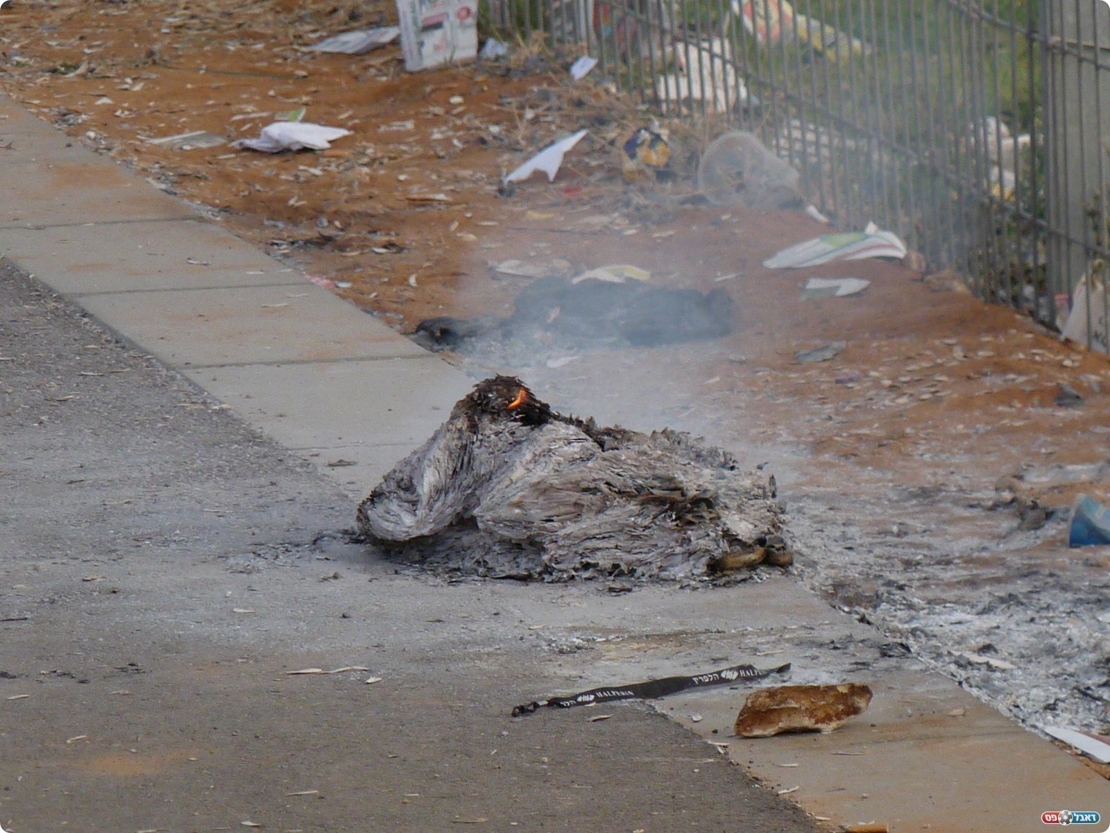 המדורה (צילום: אלי שמואלי)