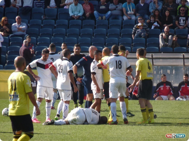 הרחקה מיותרת. סויסה על הדשא (אלי שמואלי)