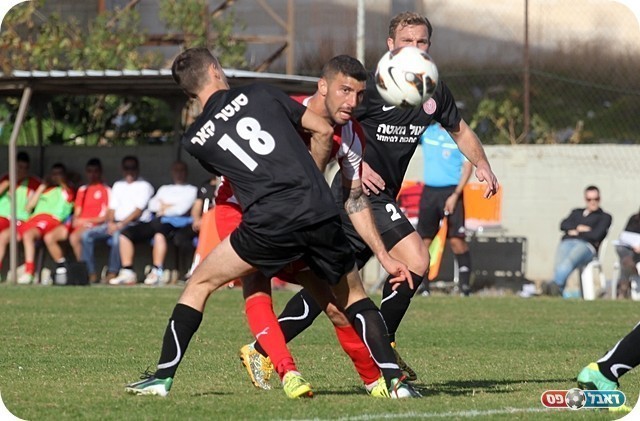 התקפה מסודרת. מלכין מבשל (צילום: לירן דורף)