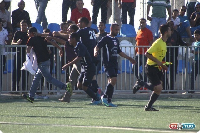 הקוון בורח (באדיבות שי מוגילבסקי אתר eyoya)