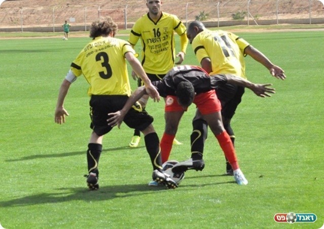 קוטלת המוליכות. טל איילה בפקעת כפר סבאית (צילום: מוחמד חאדר אניס)