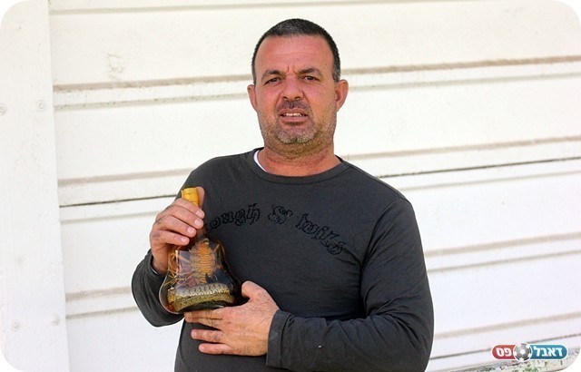 הקמע של מורשה (צילום: לירן דורף)