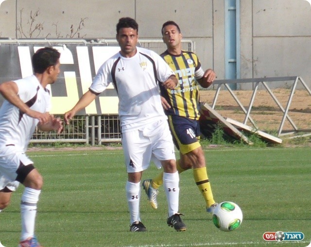 סגל אטרקטיבי. שנסי 