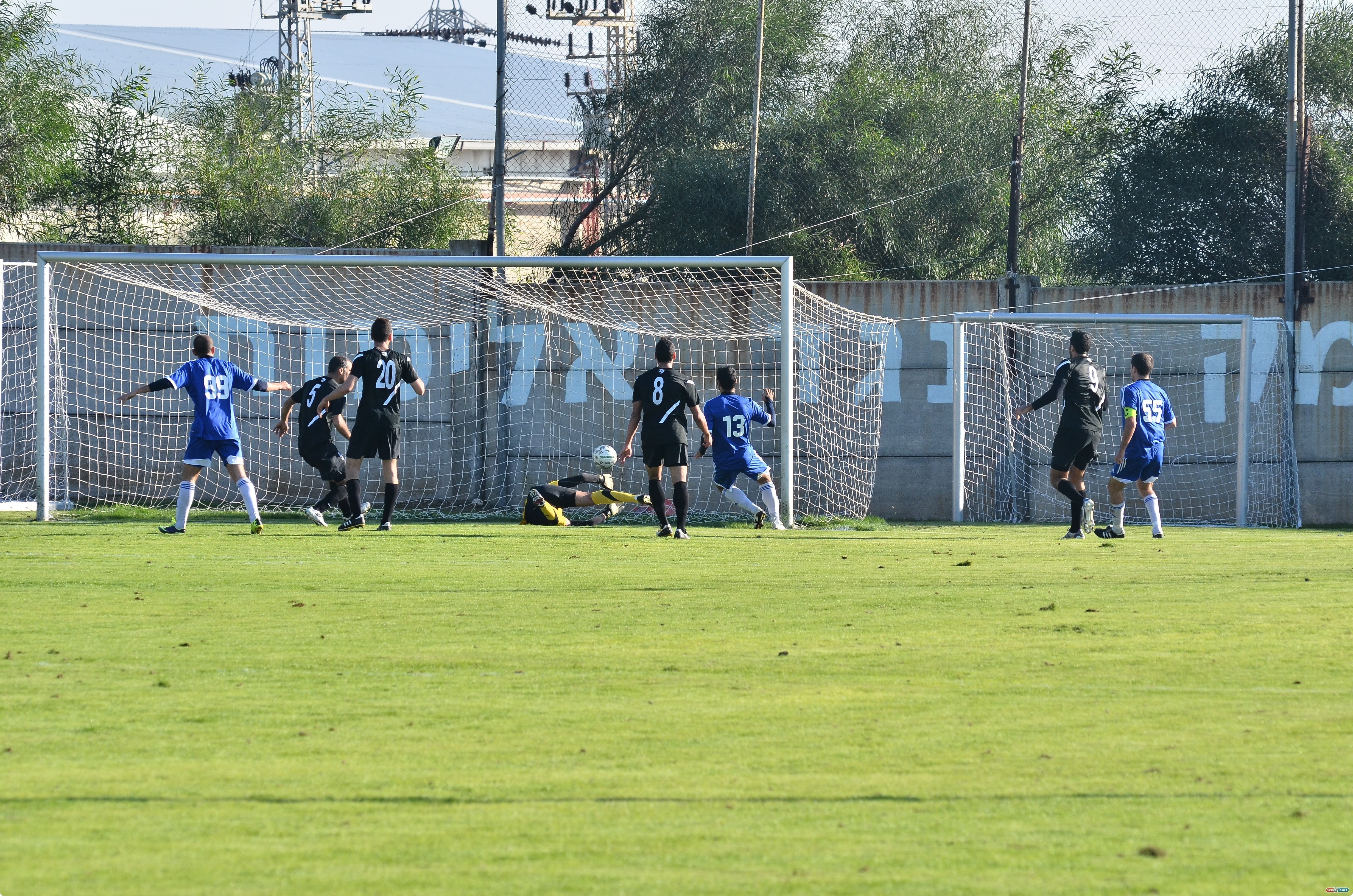 סימנטוב כובש (צילום: ארנון לוי)