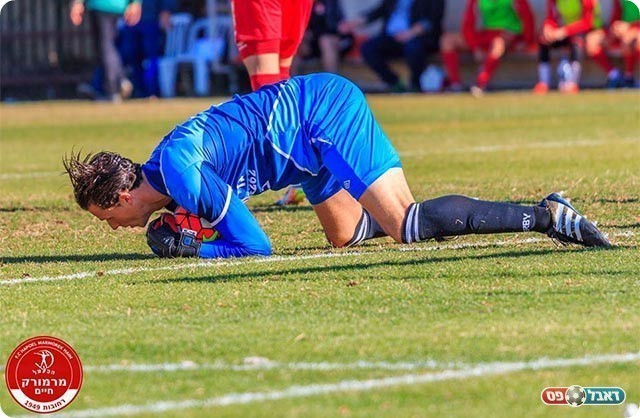 ברקוביץ' (יוסי סוריק)