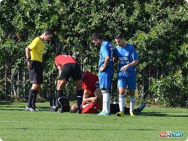 גוזלן נפצע (צילום: ארנון לוי)