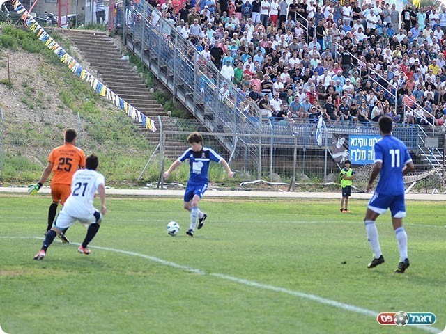 ההזדמנות של שולוקובסקי (ארנון לוי)