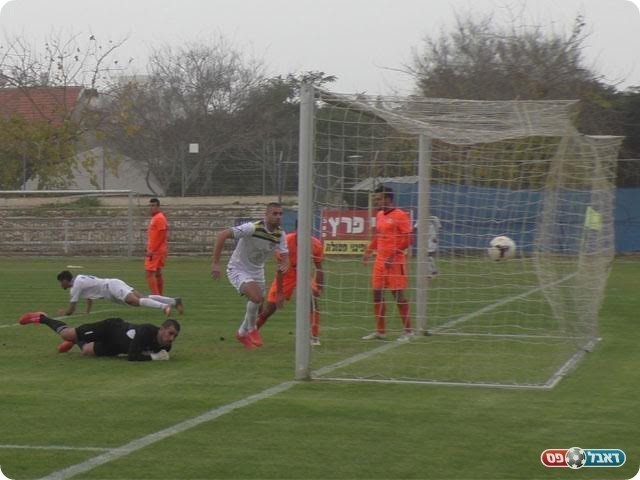 פליקר עם השער (שקד מורג)